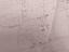 Immagine 10