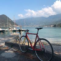 Bianchi da corsa