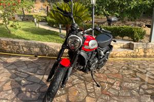 Ducati scrambler icon 800