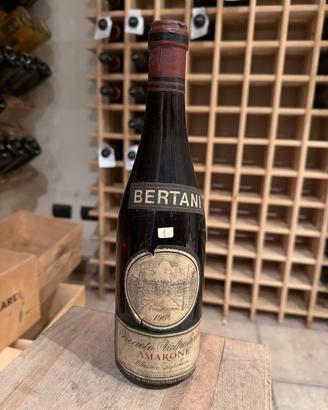 Amarone bertani 1964 vino