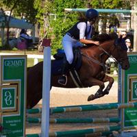 Pony femmina buonissima 1,46