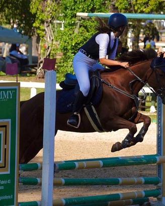 Pony femmina buonissima 1,46
