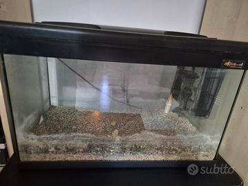 Acquario 75lt + plafoniera led + filtro +riscaldat