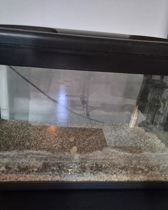 Acquario 75lt + plafoniera led + filtro +riscaldat