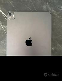 Apple Ipad pro 11" (M4)