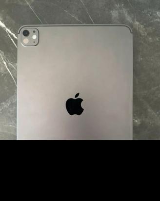 Apple Ipad pro 11" (M4)
