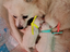 Immagine 1