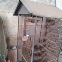 Gabbia per uccelli 