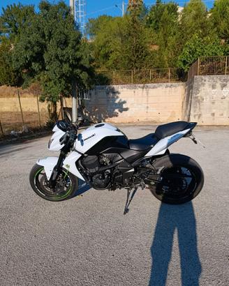 Z 750 2010
