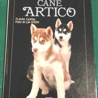 Allevare e capire il tuo cane artico flavia capra