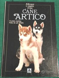 Allevare e capire il tuo cane artico flavia capra