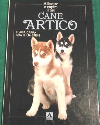 Allevare e capire il tuo cane artico flavia capra