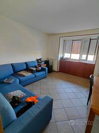 Stanza singola a 450 euro-Milano Bonola M1