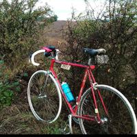 Bici Vintage Girardengo Xl