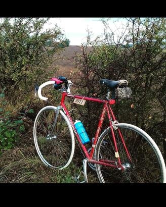 Bici Vintage Girardengo Xl