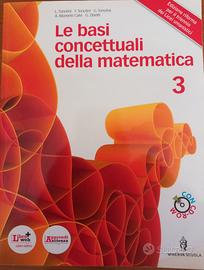 Le Basi Concettuali della Matematica 3