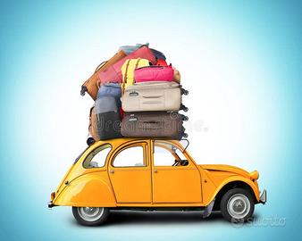 Accompagnatore clienti, trasporto bagagli, ecc