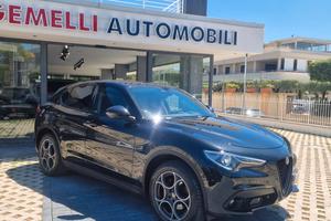 Alfa Romeo Stelvio 2.2 210 CV AT8 Q4 Executive 11/