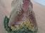 Immagine 2