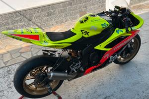 Carene e scarico r6 2008/2016