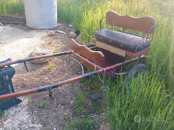 calesse per poni