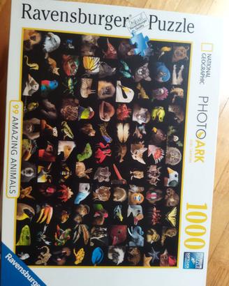 puzzle nuovo