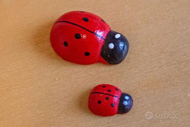 2 Coccinelle portafortuna