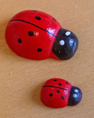 2 Coccinelle portafortuna