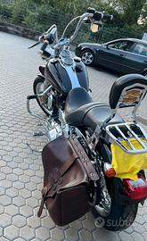 Dyna Low Rider