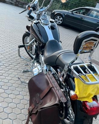 Dyna Low Rider