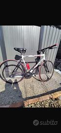 Bicicletta corsa olmo