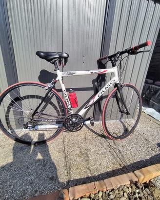 Bicicletta corsa olmo