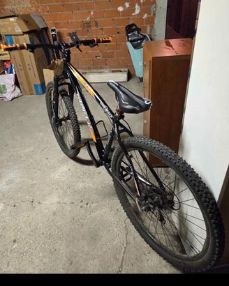 bicicletta