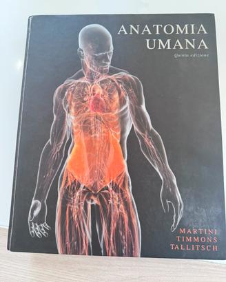 Anatomia Umana Martini 5ª edizione