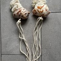 Fermatende con conchiglia