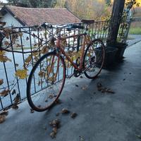 bici da corsa vintage