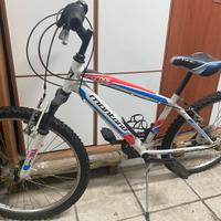 Bicicletta 24