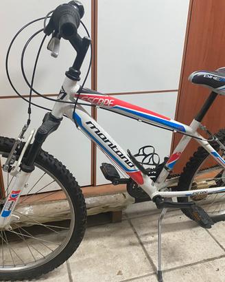 Bicicletta 24