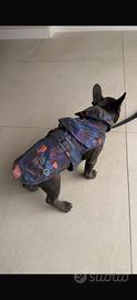 IMPERMEABILE ILLUSION ILLUSION RAINCOAT cane