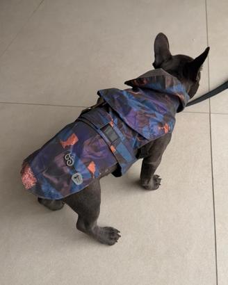 IMPERMEABILE ILLUSION ILLUSION RAINCOAT cane