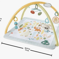 Palestrina sensoriale Fisher Price