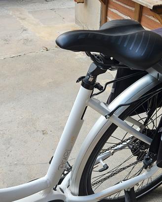 bici elettrica