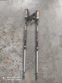 bastoncini leki telescopici