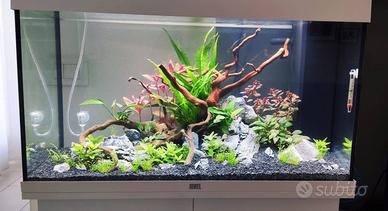 Acquario Juwel Rio 125