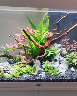 Acquario Juwel Rio 125