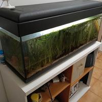 Acquario 100 litri completo di mobile