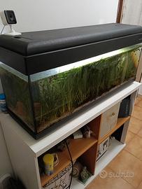Acquario 100 litri completo di mobile
