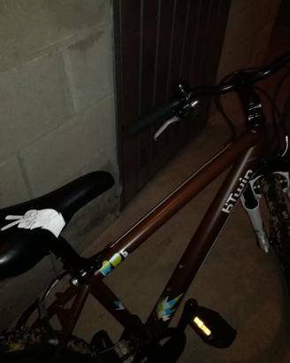Mtb 24 '