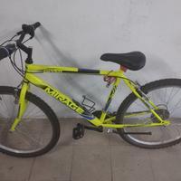 Mountain bike ragazzo 