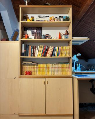 Libreria doppia con sportelli